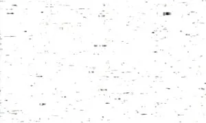 ثقوب اللعنة كبيرة والداخل. افلام جنسيه نار