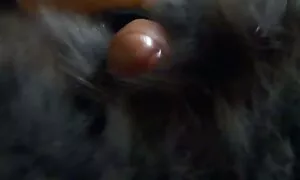 يتم جنس افلام إنشاء الغنائم الشرج