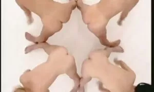 أبيض افلام سكس لبنانيه جديده وأسود